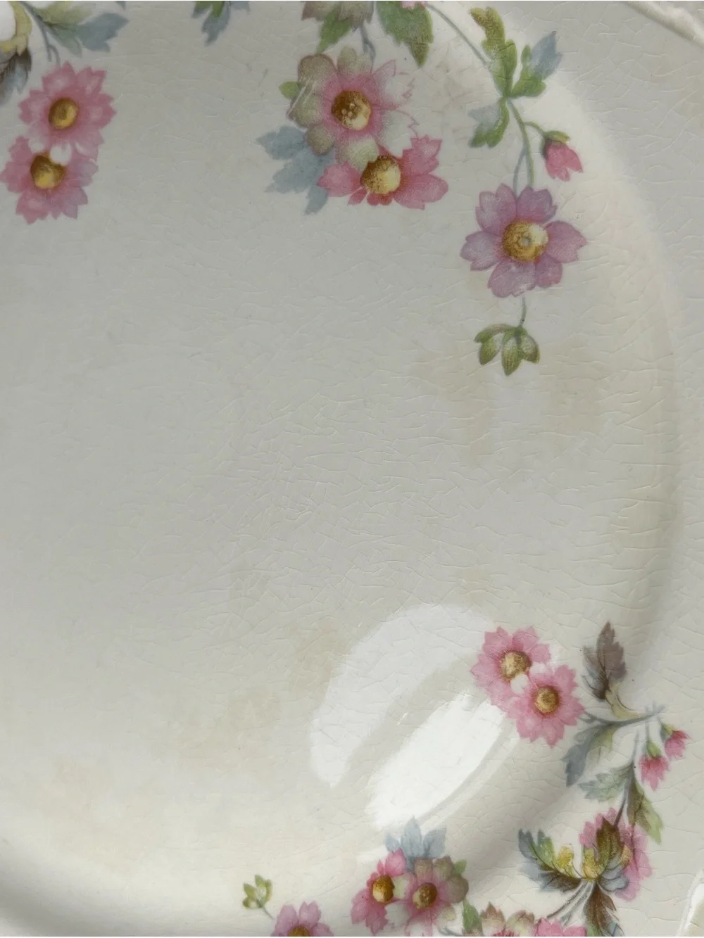 Homer Laughlin Virginia Rose JJ59 Dinner Plate Platinum Trim